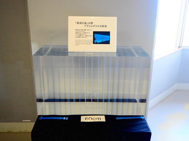 沖縄人気ｎｏ１観光スポット美ら海水族館 沖縄マリンスポーツ スルル