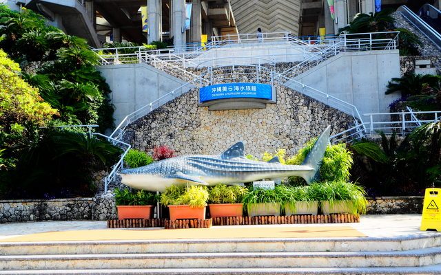 沖縄人気ｎｏ１観光スポット美ら海水族館 沖縄マリンスポーツ スルル